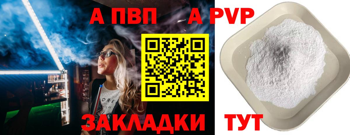 A-PVP СК Великий Новгород
