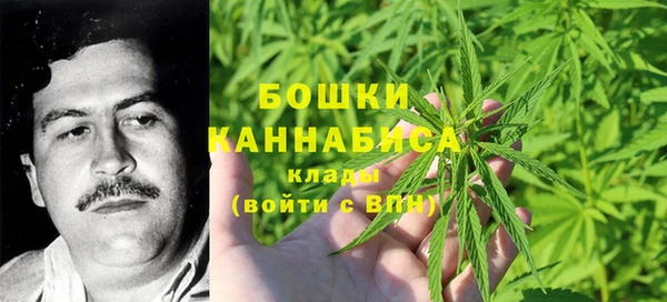 эйфоретик Надым