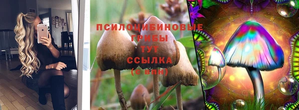 эйфоретик Надым