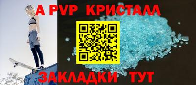 СК Бийск
