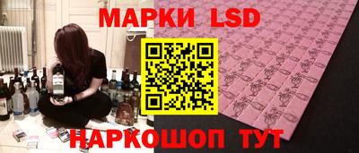 СК Бийск