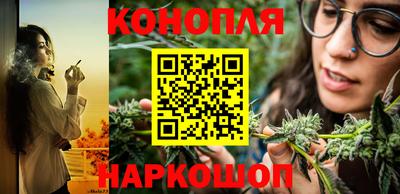 СК Бийск