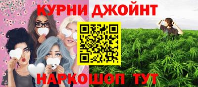 СК Бийск
