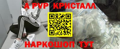 СК Бийск