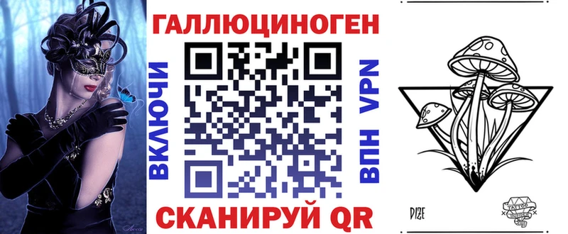 Псилоцибиновые грибы Cubensis  закладки  Великий Новгород 