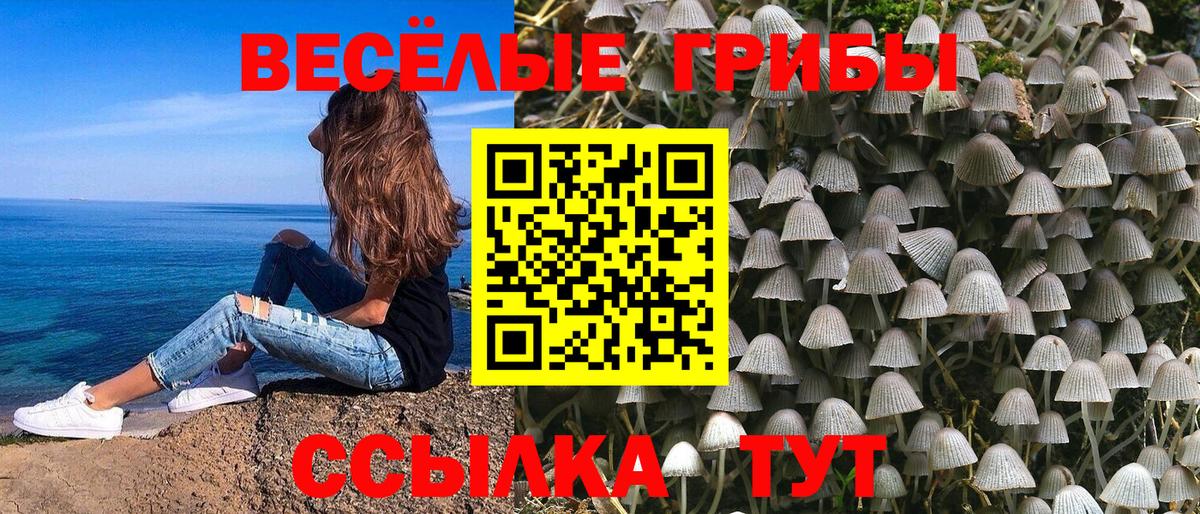 Псилоцибиновые грибы Psilocybe  Вход с VPN  Великий Новгород 